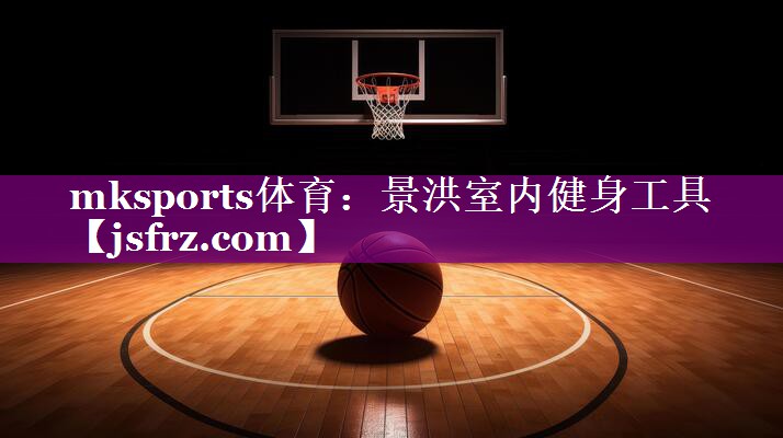 景洪室内健身工具